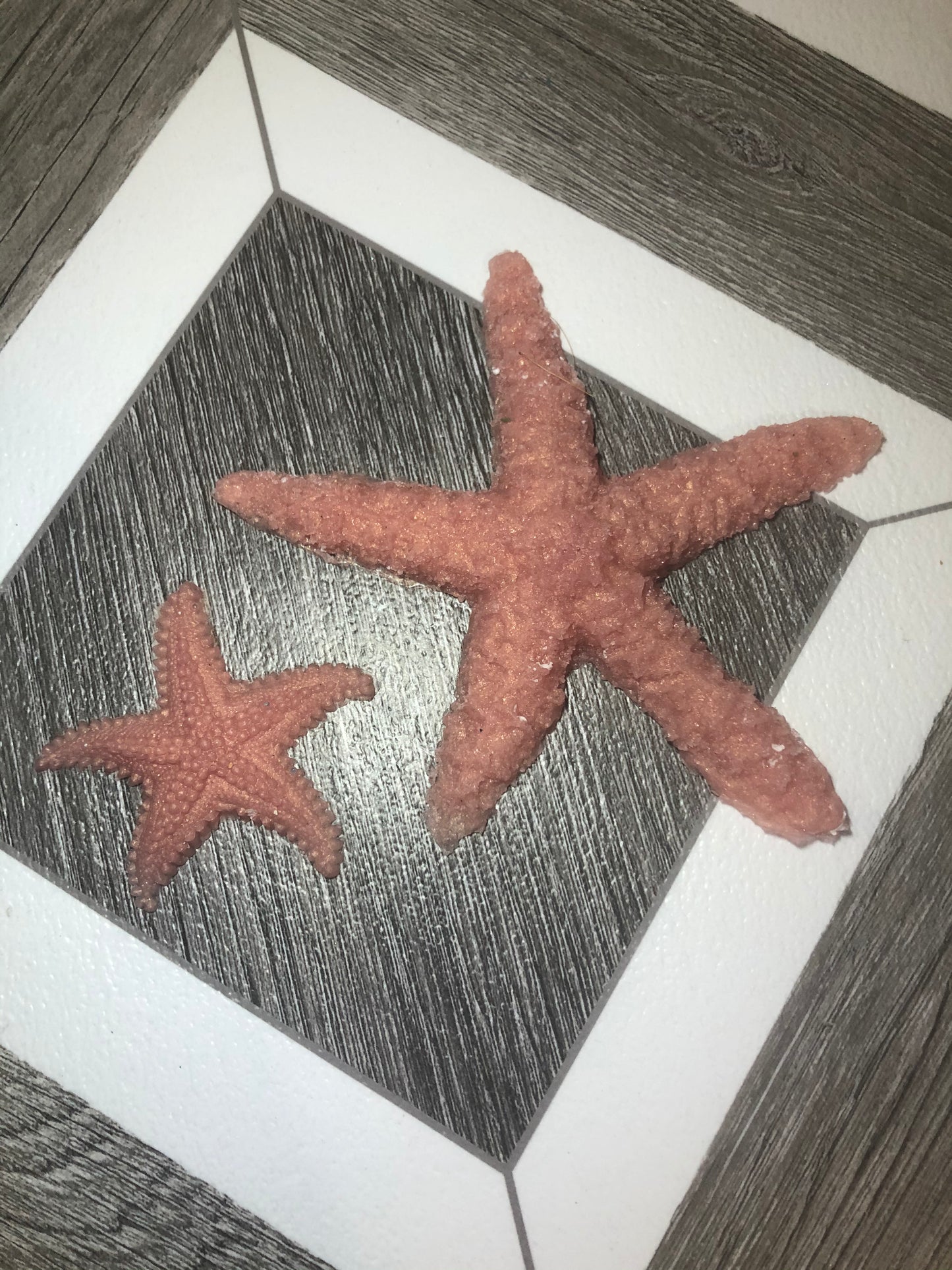 Silicone Squishy Toy Starfish Set
