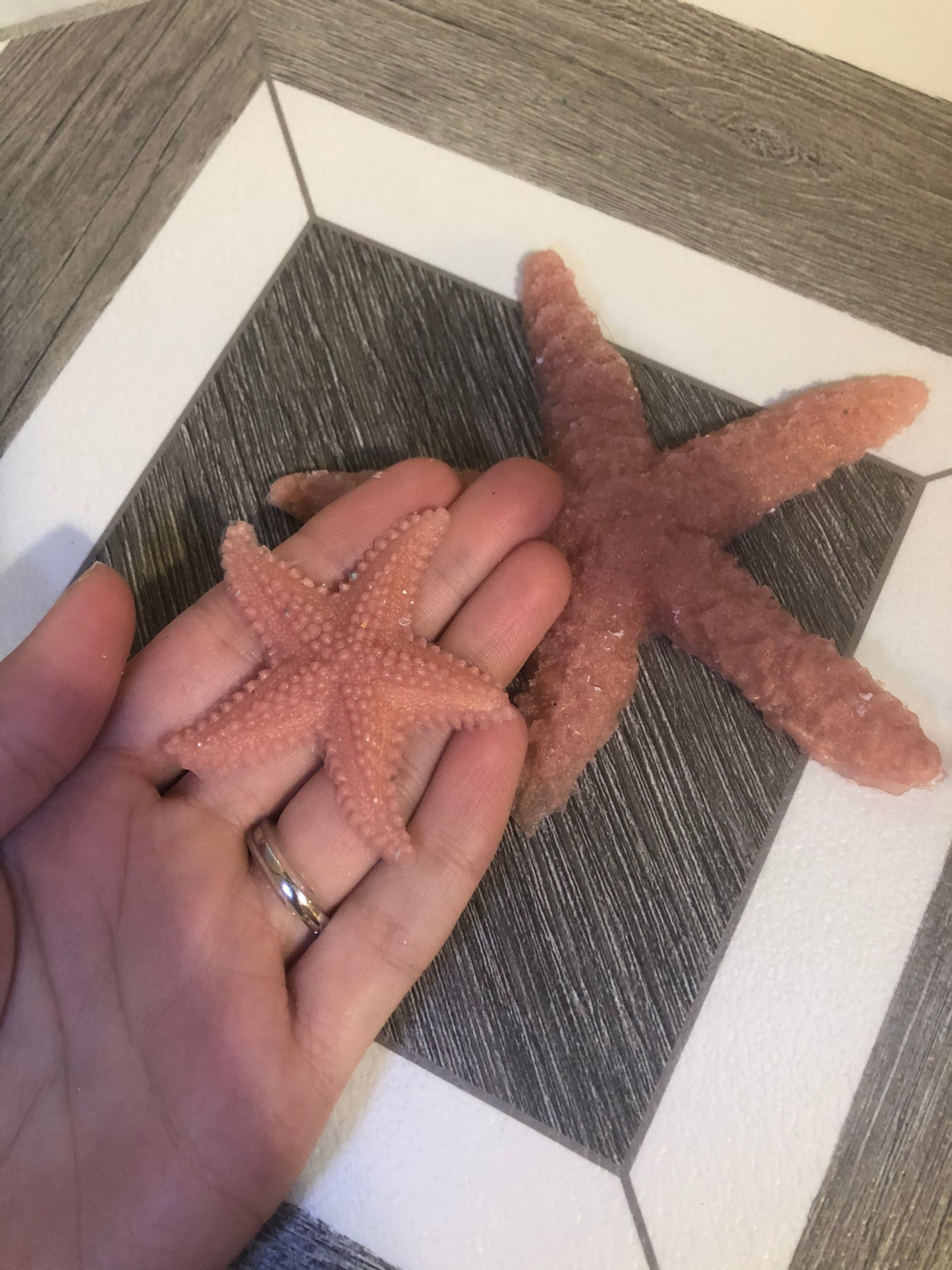 Silicone Squishy Toy Starfish Set