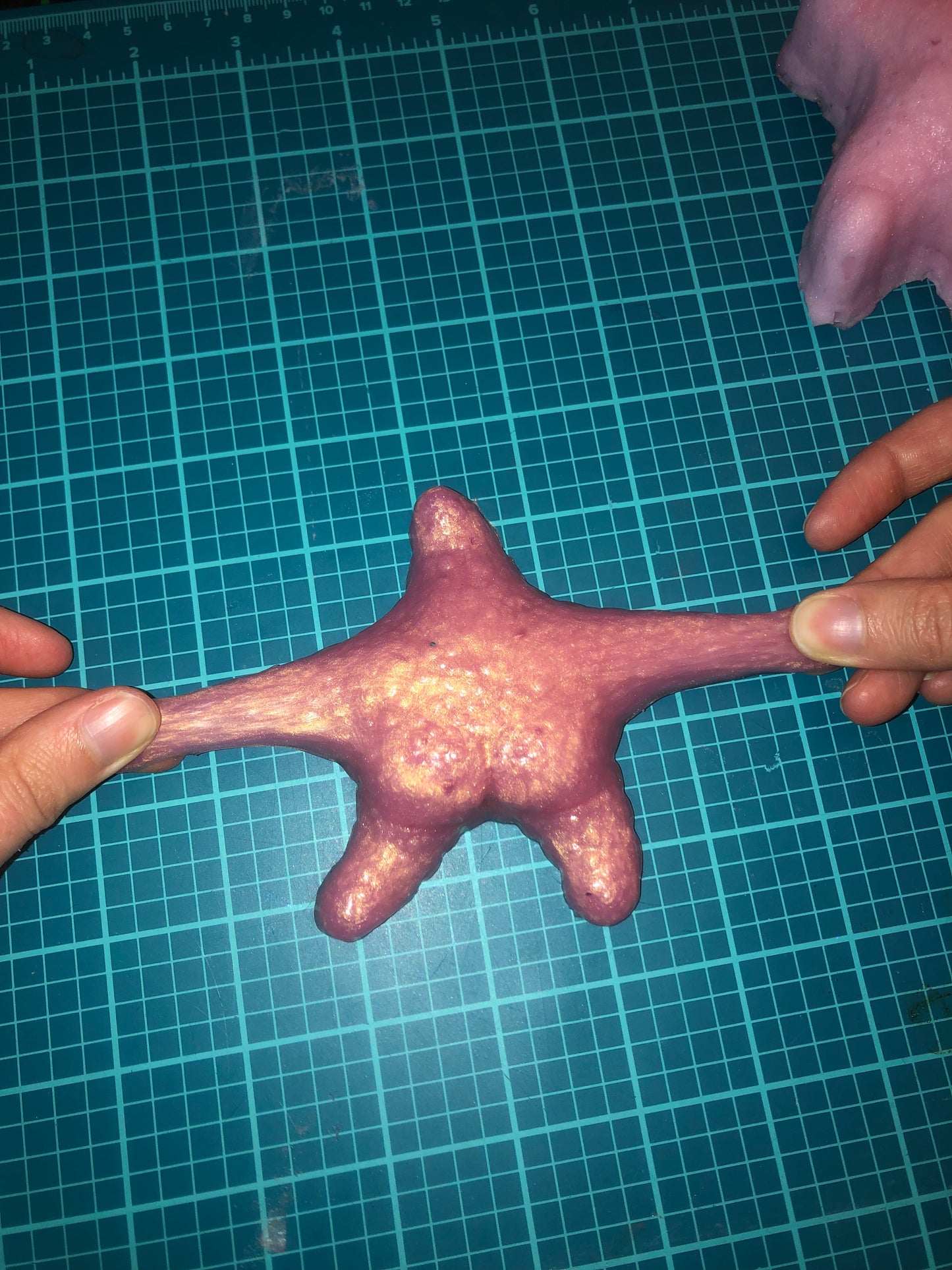 Funny Starfish Silicone Squishy Toy